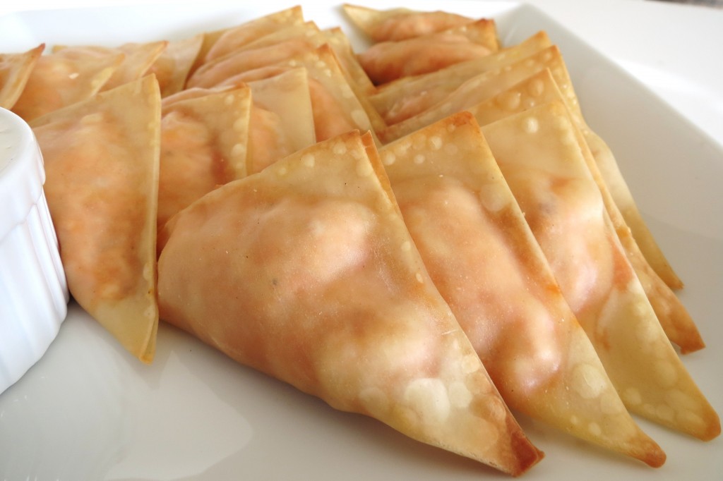 Chocolate PB, Bflo Won Tons, raspberry bars 029