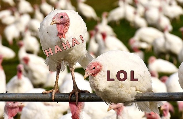 turkey-comedy